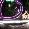jumadijmrudy