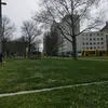 dzloup