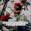 user708881862092