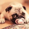 karsten__s