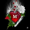 qs_b29