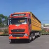truonghaianh11