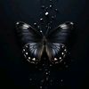 dy9dzp8gvm8q