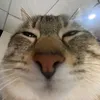 christian_4721