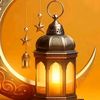 ibrahimyosry539