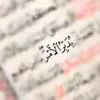 alaahussain124