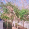 duongkaka.06