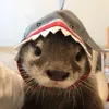 otterlyh