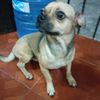 alejandroromero9475