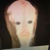 dennissefx