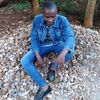 cjuma254