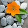 omahmed4859