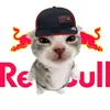 user_qualquer023
