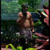 kingguts89