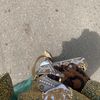 king.nurudien