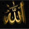 ali_1981_ali2