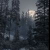 anna_little_realm