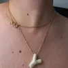 estrelliccia