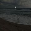 lli_ll6