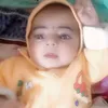 arifimranjutt
