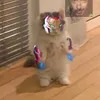 enrique_dicaprio