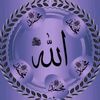 dyamtpfpv48kzafar