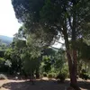 pauloche123
