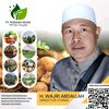 CEO PERDANA MUDA