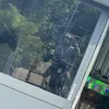 phuocthien_64