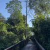 scj520tiktok.com