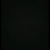hussain_3032