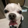 y1nsoo_