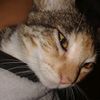 tepo_1_
