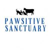 pawsitivesanctuary