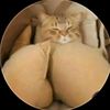 gabriel_la_para28