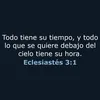 _valencardozook_