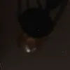 lilpeeling