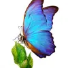 regardmonpseudo7