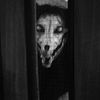 muttilate
