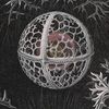 stephoid_creature