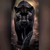 rosycarvalho348