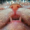 noreia_795