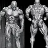 Bodybuilder