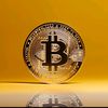 zeladyboss_ceo_crypto