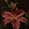 all_e13