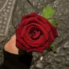 remo_466