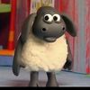 blindrabbit05
