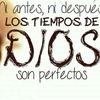 elpino_123