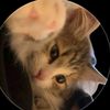 noor_fatma08