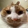 quynhday999